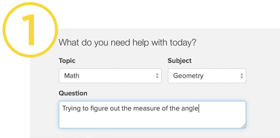 Submit Homework Question