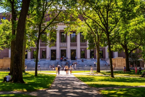 Harvard Yard in the summer