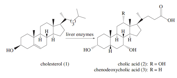 MCAT Sample Questions, Organic Chemistry Passage, Figure 1