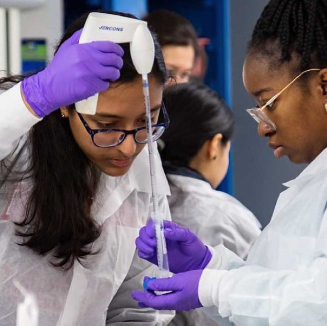 A science student performs an experiment